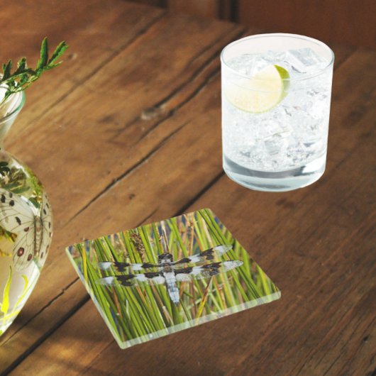 Common Whitetail Skimmer Dragonfly写真 ガラスコースター