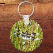 Common Whitetail Skimmer Dragonfly写真 キーホルダー (正面)