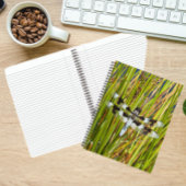 Common Whitetail Skimmer Dragonfly写真 ノートブック