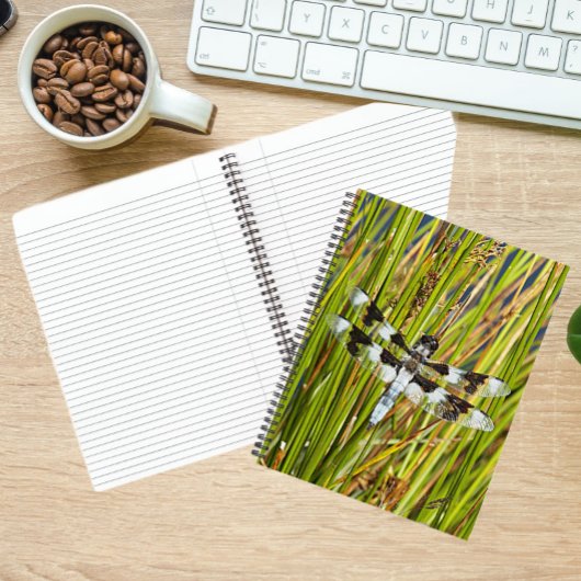 Common Whitetail Skimmer Dragonfly写真 ノートブック