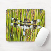 Common Whitetail Skimmer Dragonfly写真 マウスパッド (マウス)