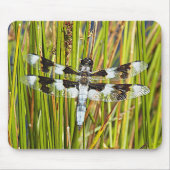 Common Whitetail Skimmer Dragonfly写真 マウスパッド (正面)