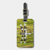 Common Whitetail Skimmer Dragonfly写真 ラゲッジタグ (正面縦)