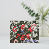 Common Yarrow & Grape Hyacinthメッセージハガキ シーズンポストカード (スタンド正面)