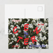 Common Yarrow & Grape Hyacinthメッセージハガキ シーズンポストカード (正面/裏面)