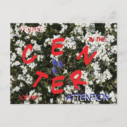 Common Yarrow & Grape Hyacinthメッセージハガキ シーズンポストカード (正面)