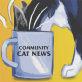 Community Cat Newsステッカー シール (正面)