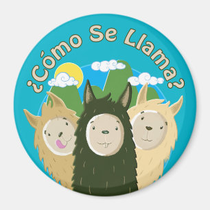 Como Seのラマか。 マグネット
