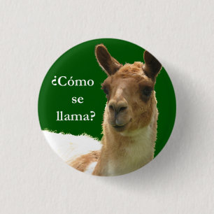 Cómo seのラマか。 缶バッジ