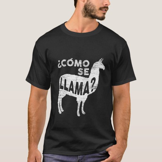 Como se llama tシャツ (正面)