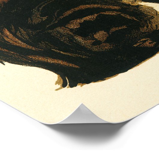 COMPAGNIE FRANCAISE Des Chocolate Drink Steinlen ポスター (角)