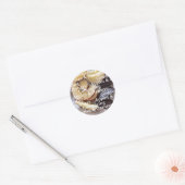 Comparing Apples and Oranges Stickers ラウンドシール (封筒)