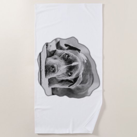 Compation in Calm ビーチタオル (正面)