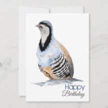 COMPLEANNO del cacciatore di coturnci