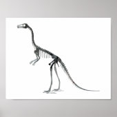 compsognathus skeleton ポスター (正面)