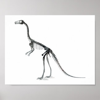 compsognathus skeleton ポスター