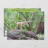 Compsognatus – 恐竜 – 学のカード ポストカード (正面/裏面)