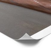 Concealed Distress in Light and Shadow ポスター (角)