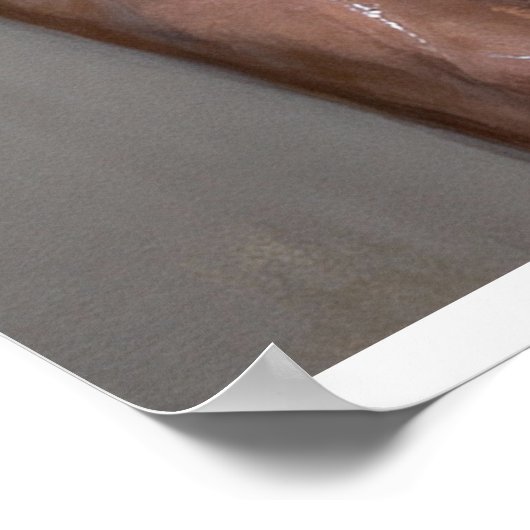 Concealed Distress in Light and Shadow ポスター (角)