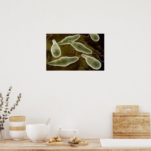 Conceptual Image Of Euglena 3 ポスター (キッチン)