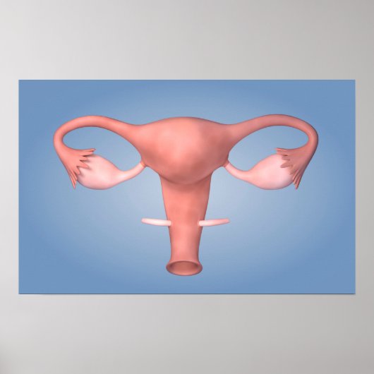 Conceptual Image Of Female Reproductive Organ 2 ポスター (正面)