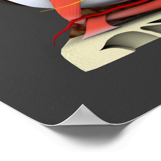 Conceptual Image Of Human Eye Anatomy 3 ポスター (角)