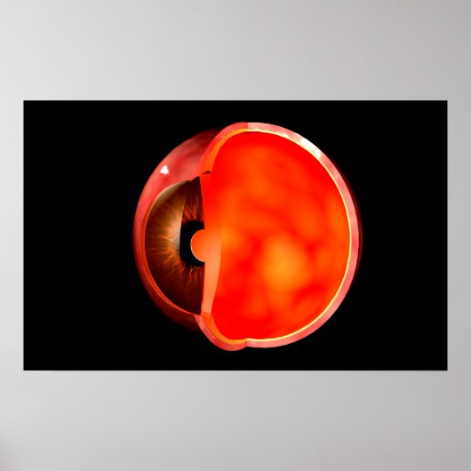 Conceptual Image Of Human Eye Cross Section 1 ポスター (正面)