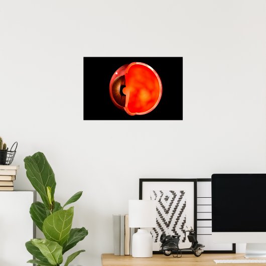 Conceptual Image Of Human Eye Cross Section 1 ポスター (ホームオフィス)