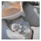 Conchシェルのクローズアップ タイル (正面)