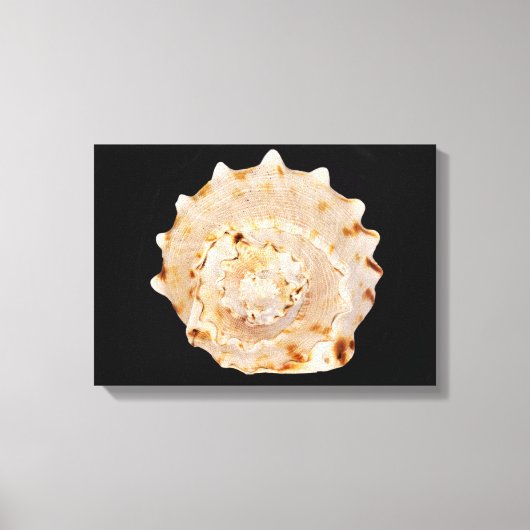 Conchシェルキャンバス印刷 キャンバスプリント (正面)