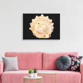 Conchシェルキャンバス印刷 キャンバスプリント (インサイチュ (リビング))