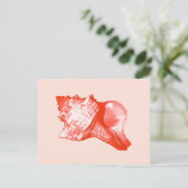 Conchシェルスケッチ – サンゴ、シェルピンクと白 ポストカード (スタンド正面)