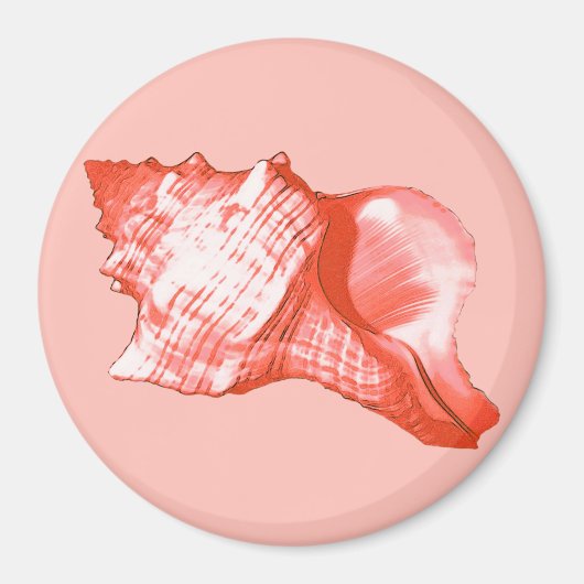 Conchシェルスケッチ – サンゴ、シェルピンクと白 マグネット (正面)