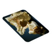 Conch 3335ビニール磁石 マグネット (右側)