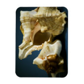 Conch 3335ビニール磁石 マグネット (縦)