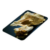 Conch 3335ビニール磁石 マグネット (左側)