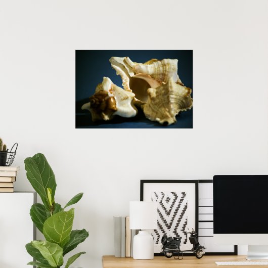 Conch 3335ポスター ポスター (ホームオフィス)