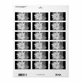 Conch Shellエレガントビーチ白黒アドレス ラベル (フルシート)