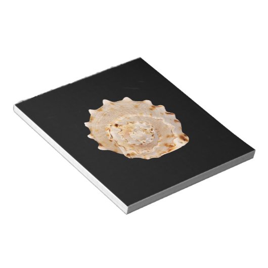 Conch Shellメモ帳 ノートパッド (アングル)