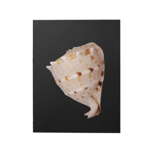 Conch Shellメモ帳 ノートパッド (回転)