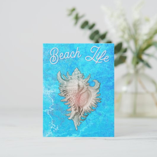 Conch Shell "Beach Life" ポストカード (スタンド正面)