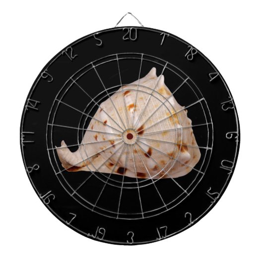 Conch Shell Dartboard ダーツボード (正面)