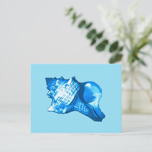 Conch shell sketch - cobaltとsky blue ポストカード (スタンド正面)