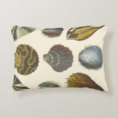 Conchologyコレクション アクセントクッション (正面)