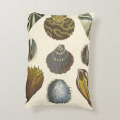 Conchologyコレクション アクセントクッション (裏面(縦))