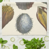 Conchologyコレクション キッチンタオル (折り畳み)