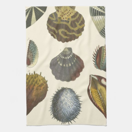 Conchologyコレクション キッチンタオル (縦)