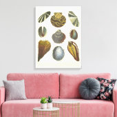 Conchologyコレクション キャンバスプリント (インサイチュ (リビング))