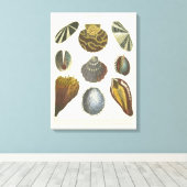 Conchologyコレクション キャンバスプリント (インサイチュ (ウッドフロア))