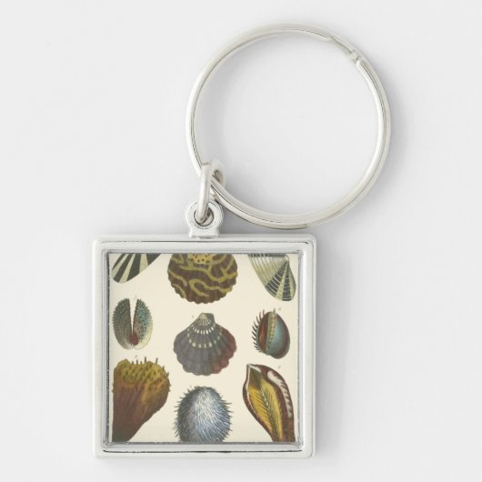 Conchologyコレクション キーホルダー (正面)